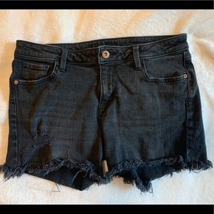 Arizona Jean Co. shorts